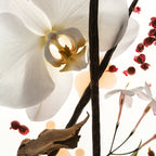 Vanilla Skin 100mL Eau de Parfum | An intoxicating vanilla good enough to eat