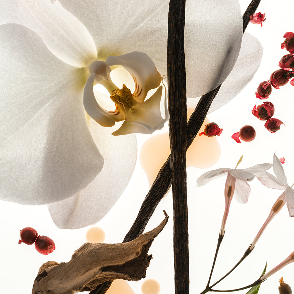 Vanilla Skin 100mL Eau de Parfum | An intoxicating vanilla good enough to eat